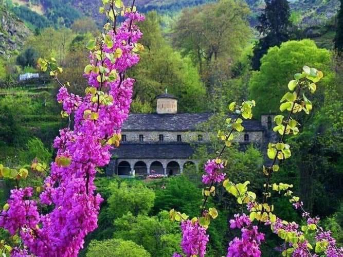 Eagle House Villa Permet Exterior photo